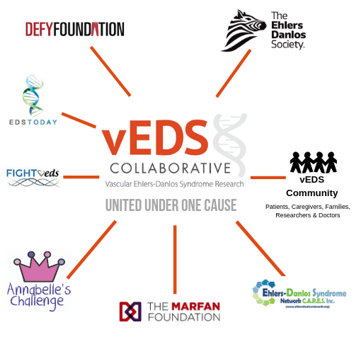 vEDS Collaborative and cooperating organizations