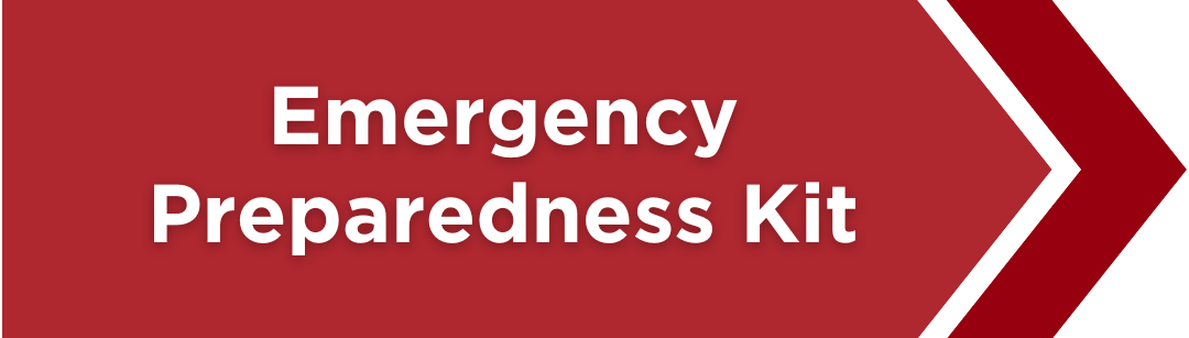 Preview of the VEDS Emergency Preparedness Kit