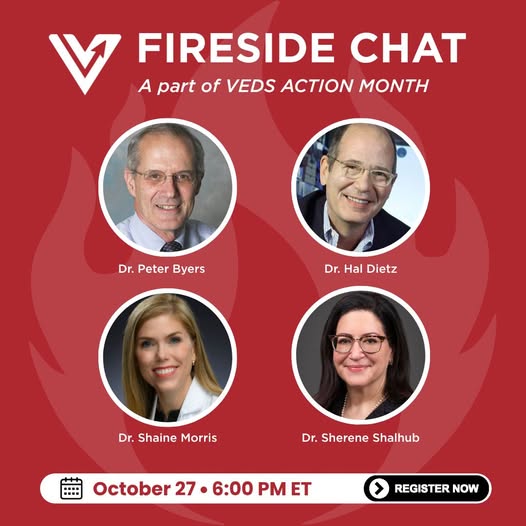 VEDS Action Month 2025 Fireside Chat thumbnail